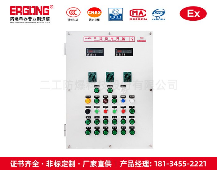 防爆配電箱-8