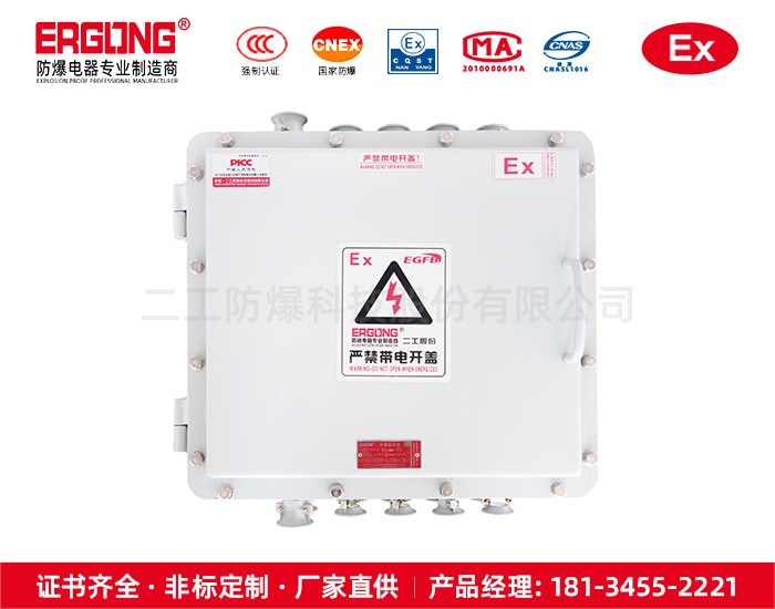 防爆控制箱-6
